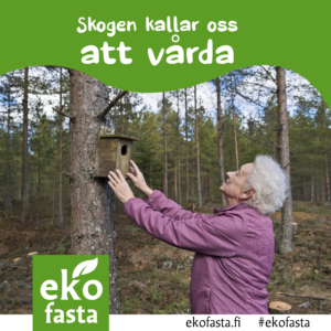 Skogen kallar oss att vårda, gråhårig kvinna hänger upp fågelholk.